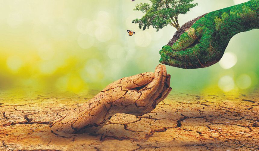 Aslı Gök yazdı: İklim Krizi ve Sigortanın Geleceği