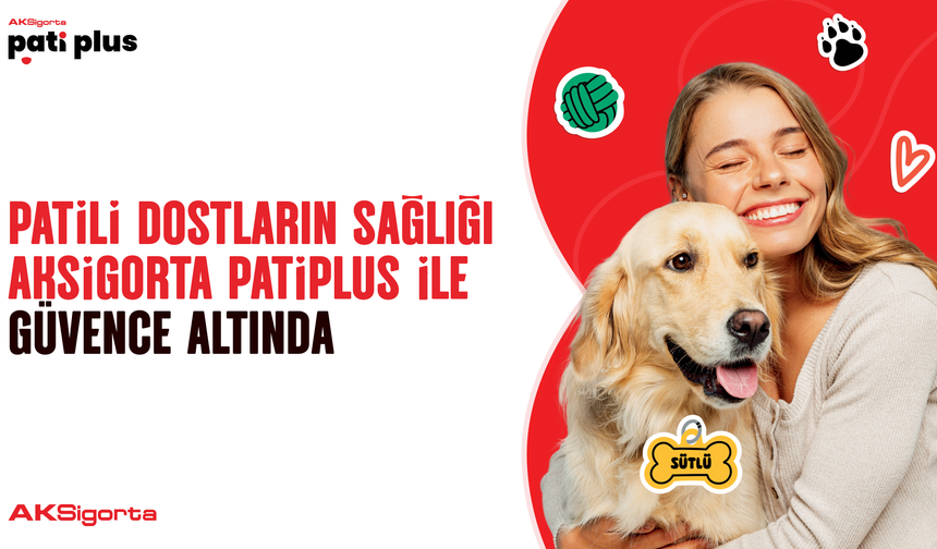 Patili dostların sağlığı Aksigorta Pati Plus ile güvence altında