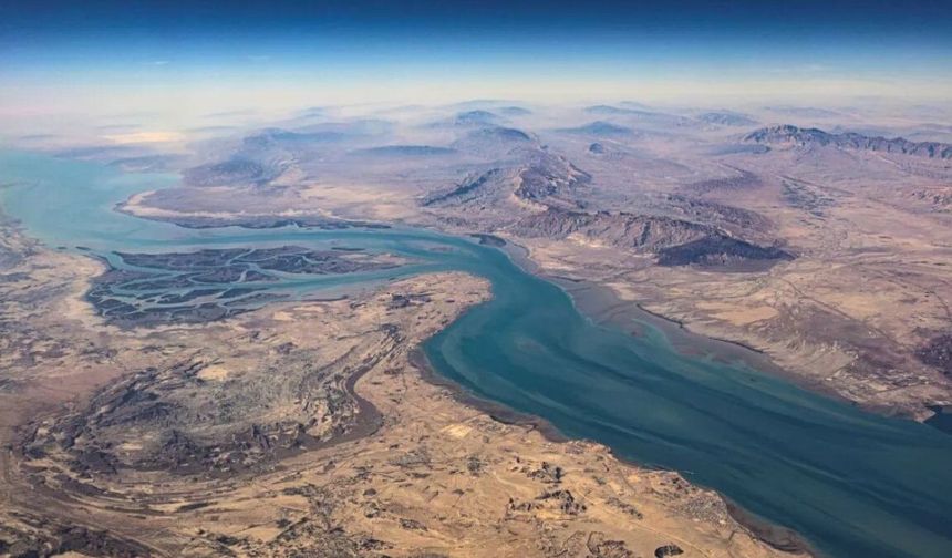 Allianz Trade: Savaşın sisleri dağılmıyor