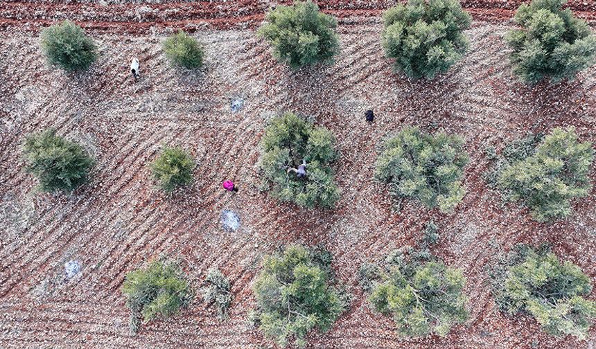 Güneydoğu’ya teşvik paketi: Yatırımlara güçlü sigorta ve prim desteği