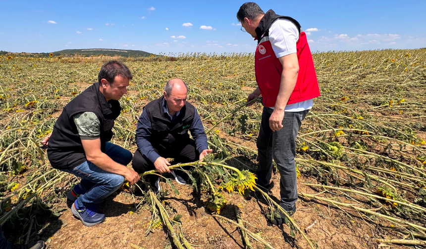 TARSİM heyeti Tekirdağ’da dolu ve fırtına hasarlarının etkilerini inceledi