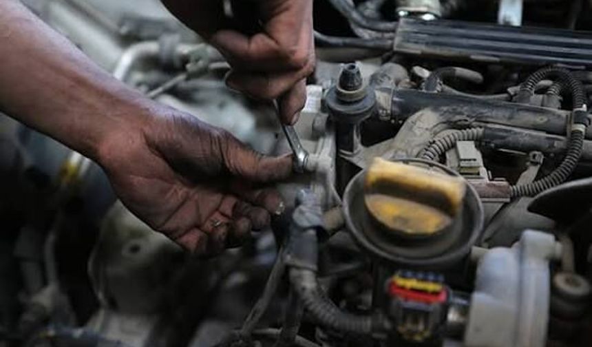 Otomobillerde kemirgen sorunu: Sigorta kapsıyor mu?