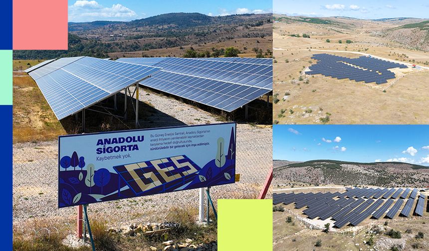 Anadolu Sigorta, net sıfır hedefi için güneş enerjisine yatırım yaptı