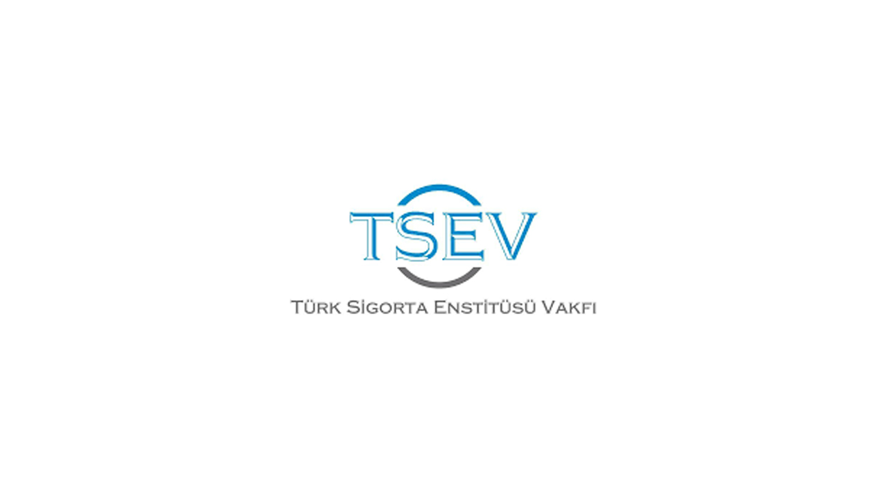 T S E V Logo 01