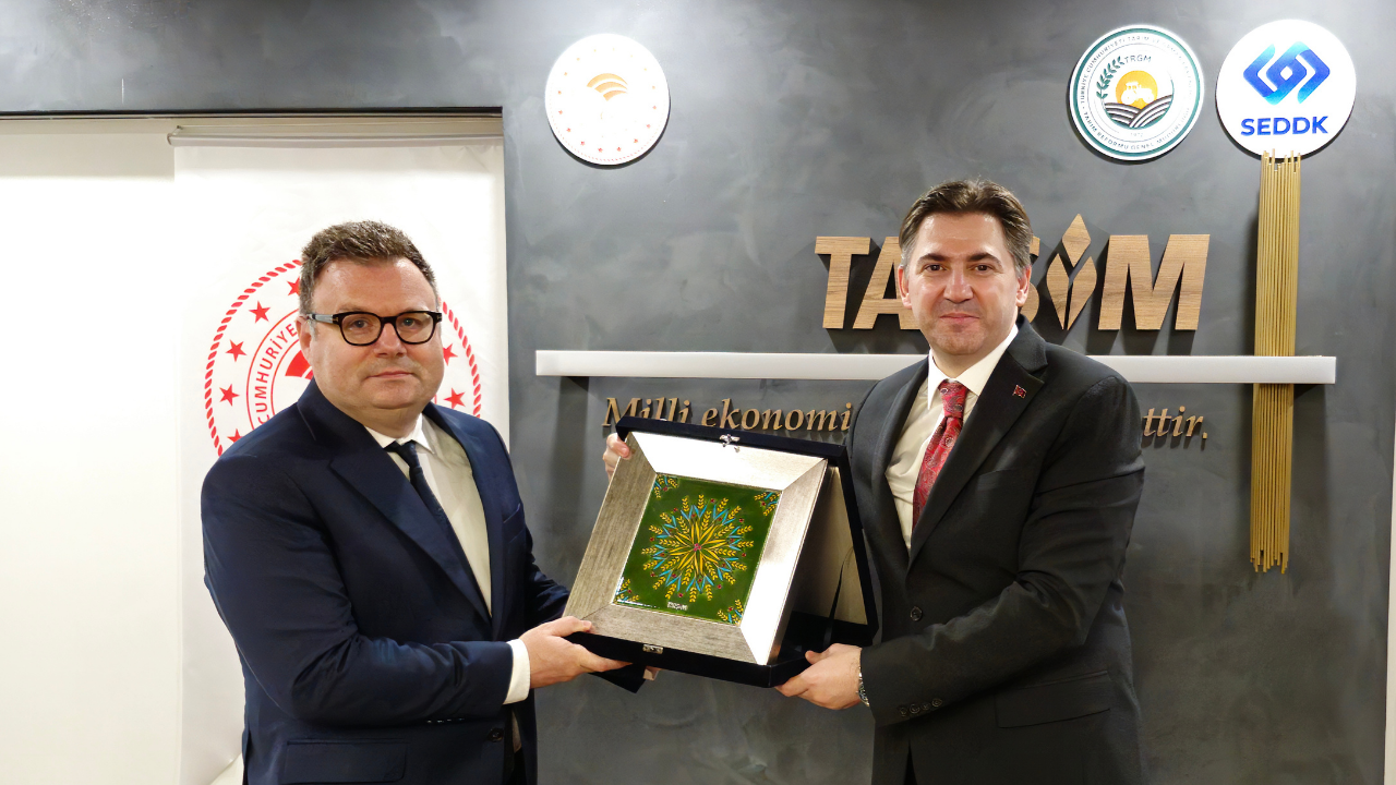 Tarsi̇m Arnavutluk’ta Kurulacak Yeni Sisteme Rehberlik Ediyor (1)